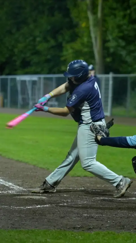 Thymo Meuwese sac fly