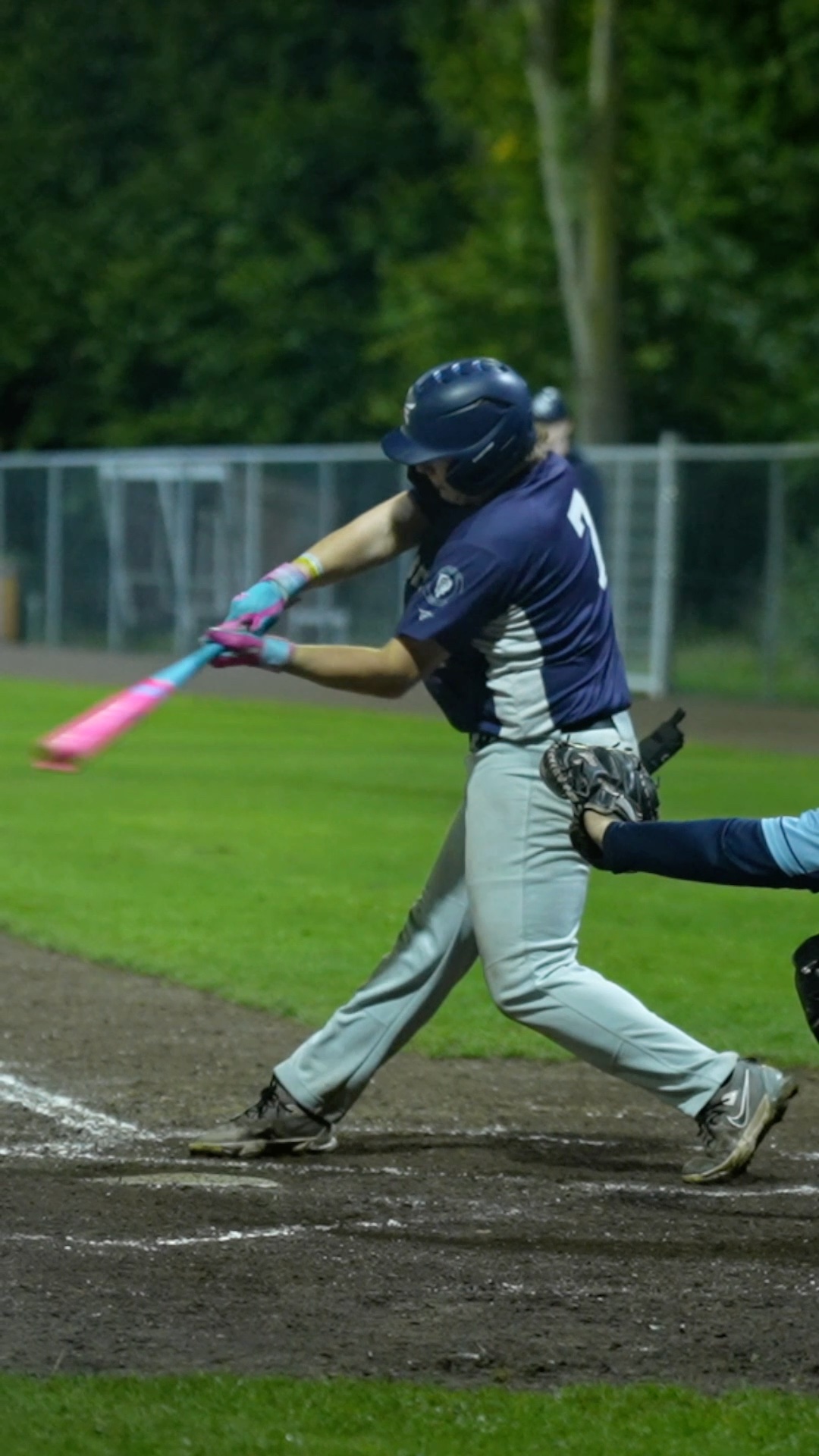 Thymo Meuwese sac fly