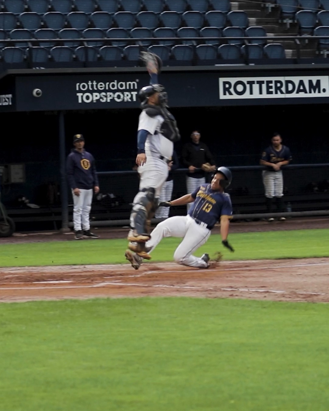 Louie with the tag