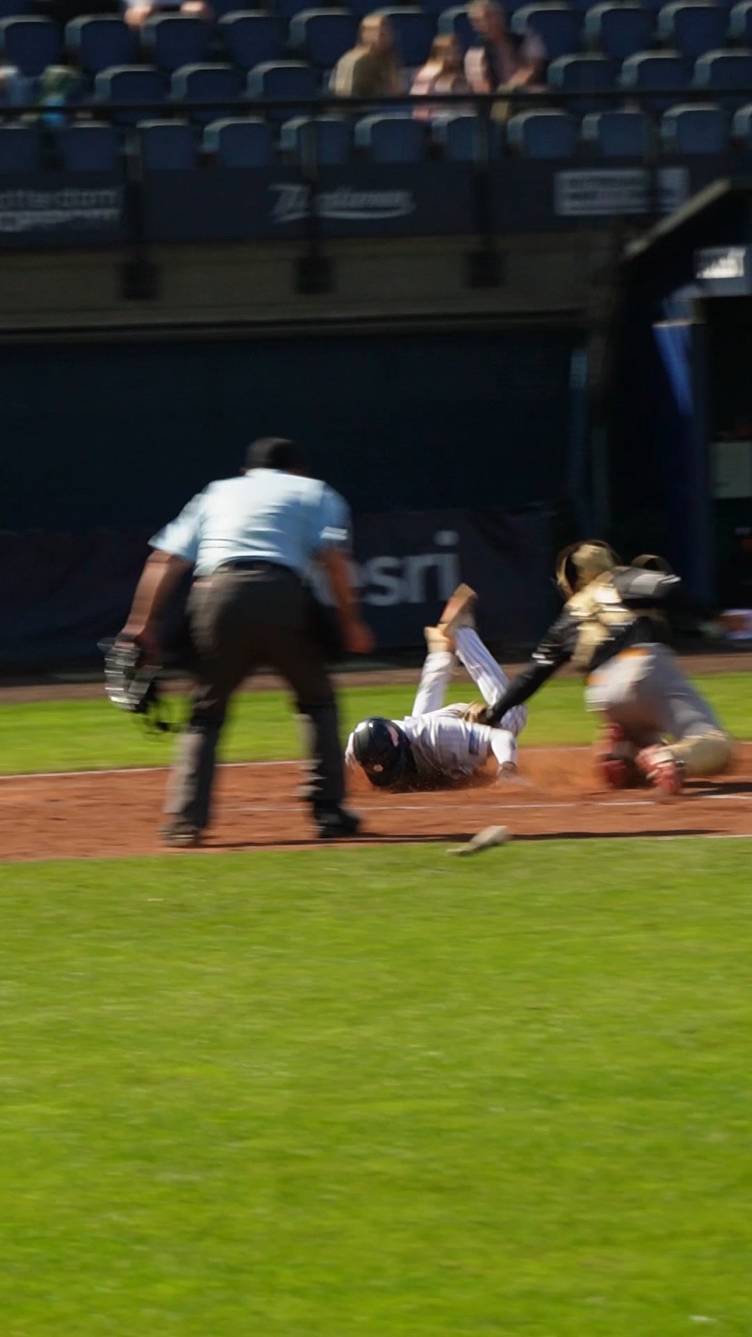#15 Neptunus Diving Run
