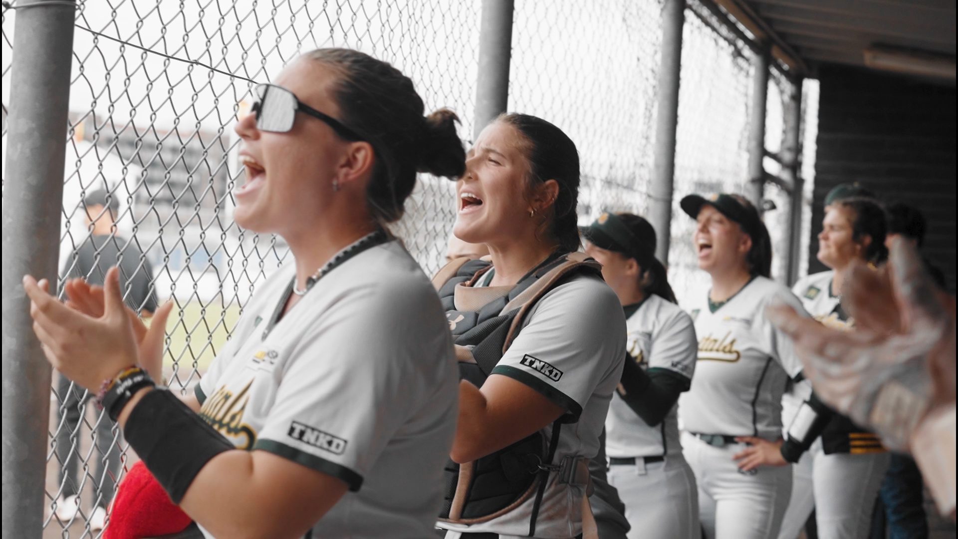 Bonn Capitals Softball clapping hands in the dugout