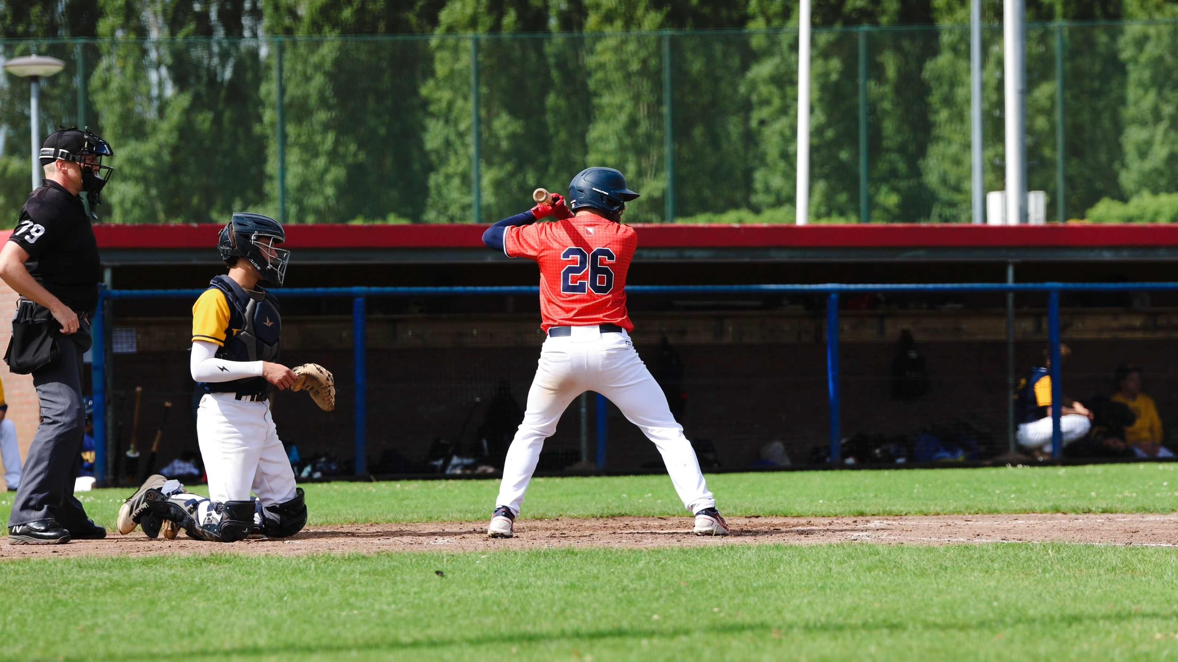 Base Hit jordy