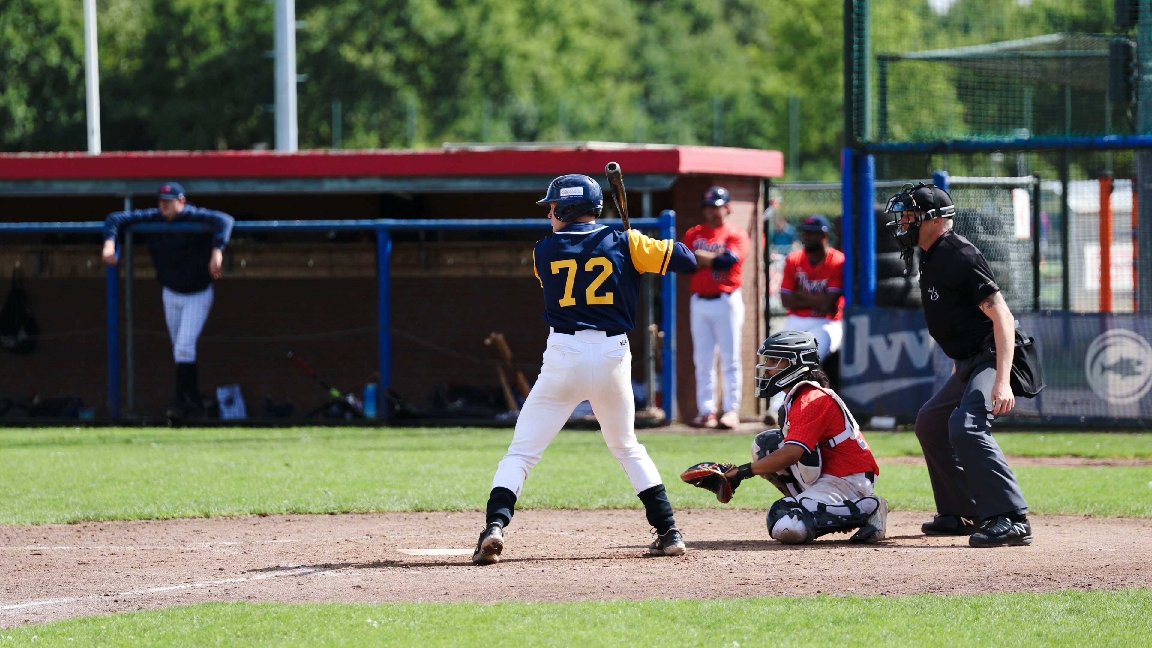 Mees Basehit